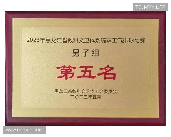 深圳排球队在全国排球速度排行榜中荣获第五名的佳绩引发热议